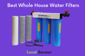 Best Whole House Water Filters